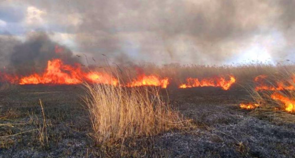 Пожары в челябинской области за последние сутки карта